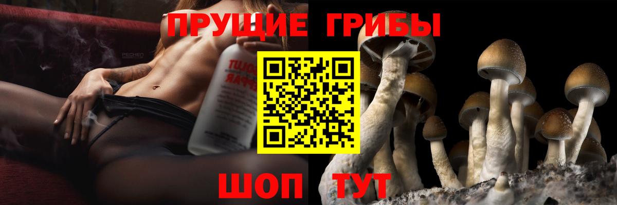 Сергиев Посад  Галлюциногенные грибы прущие грибы  Псилоцибиновые грибы Psilocybine cubensis  Вход с VPN 